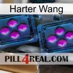 Hard Wang 03
